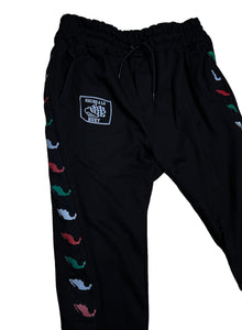 Repúblicas Tricolor  Pants efecto 2